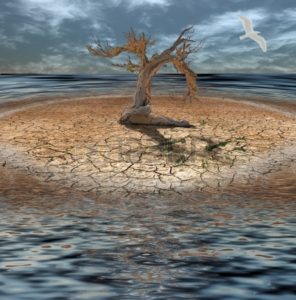 22391427-desert-flood-island-with-dead-tree-and-clock-made-of-grass